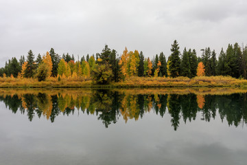 Scenic Autumn Reflection