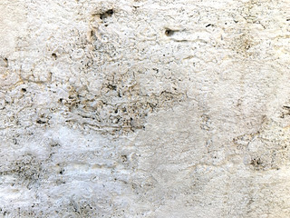 porous surface. wall