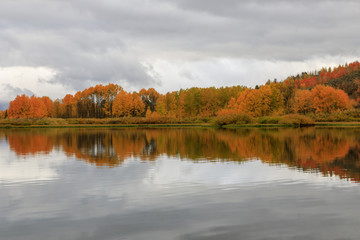 Scenic Autumn Reflection
