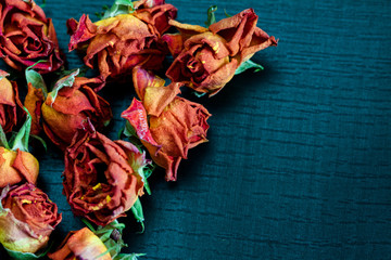 Dried red roses.