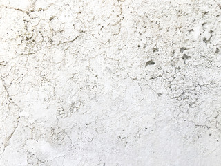 porous surface. wall