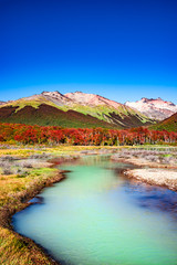 Beautiful landscape of lenga forest, mountains at Tierra del Fuego National Park, Patagonia - obrazy, fototapety, plakaty