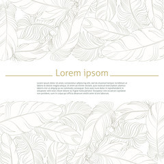 feathers vintage greeting vector card