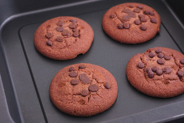 Homemade chocolate chip cookies in a baking tray