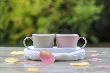 Two pastel cups with hot tea in white knitted scarf on wet table with pink and yellow leaves after rain in garden outside. Warming drink together. Hello autumn. Copy space. In love.