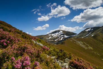 Spring in Ancares mountains