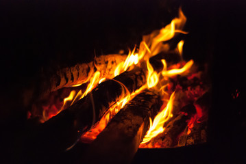 Burning logs of a summer campfire