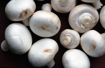 Fototapeta na wymiar mushrooms champignons on a dark table