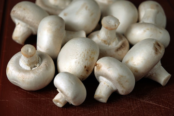 mushrooms champignons on a dark table