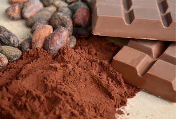 Cocoa beans and powder with chocolate