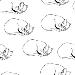 Sweet kitten seamless vector monochrome pattern 