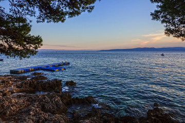 Croatia sea view, Dalmatia, Makarska coast, pine seaside of Adriatic