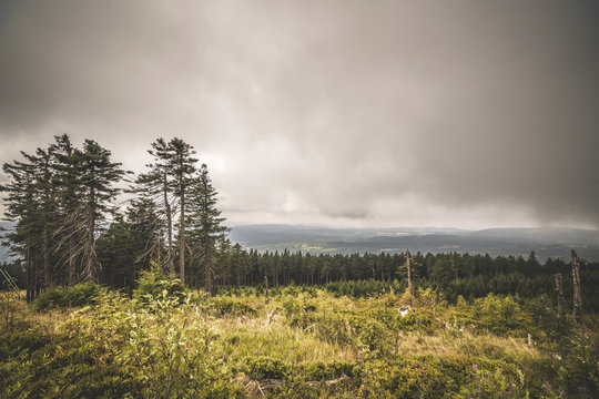 Wilderness landscape in cloudy weather overcast