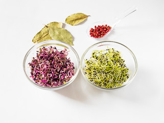 Pile of sprouts in a glass bowl. Transparent bowl with buds on white background with red pepper and bay leaves, space for text