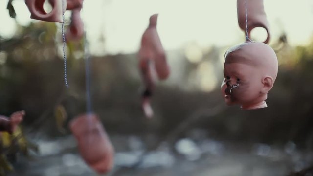 Horror heads and other parts of dolls hanging on trees. postapocalypse halloween modern art