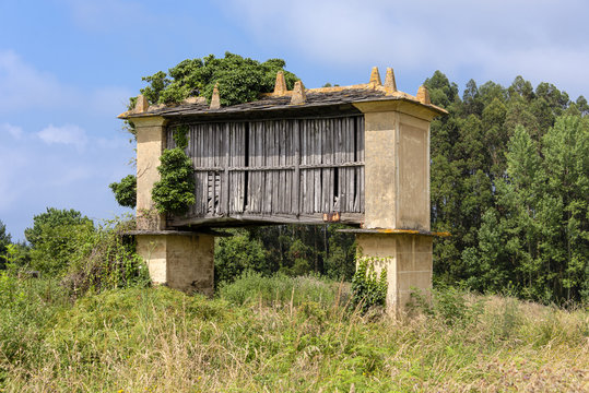 Spain, Galicia: Typical Galician granary (Horreo) in wood and stone, raised from the ground by pillars ending in flat staddle stones with blue sky in the background - concept agriculture grain crop