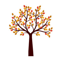 Naklejka na ściany i meble Color Autumn Tree and Roots. Vector Illustration.