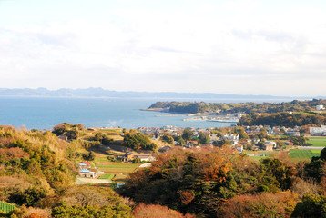 Fototapeta premium 紅葉 秋 神奈川県三浦市南下浦の風景 日本