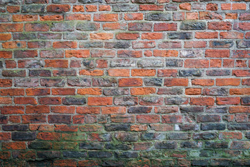 Old red brick wall with green fungus on the bottom.