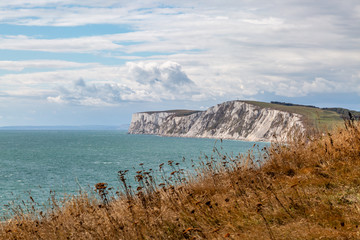 The chalk cliffs at Freshwater Bay on the Isle of Wight