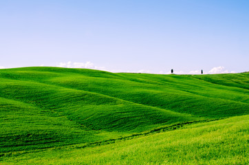 Naklejka premium Toskana Landschaft