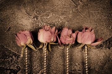 Dry roses with screws instead of stems against a concrete background, sepia toned (as a steampunk concept or background)