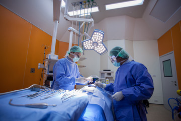Team of Surgeons Operating in the Hospital.