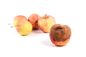 Apple rot on white