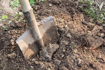 shovel thrust into the ground