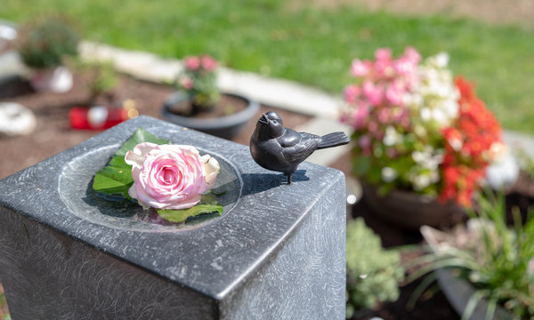 kleiner Vogel mit einer Rose