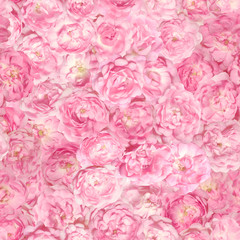 Repeatable pattern of over 40 different pink rose buds, each of them studio photographed seperately