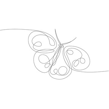 drawing from a continuous line of an isolated butterfly vector object