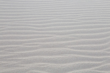 Sand dunes as waves  background . Sandy beach endless view .