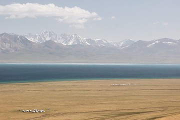  The beautiful scenic at Song kul lake ,  Naryn with the Tian Shan mountains of Kyrgyzstan
