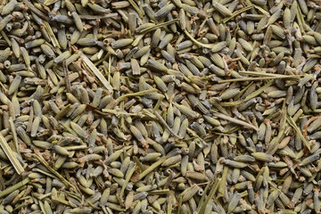 Lavanda, composición como fondo