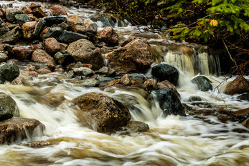 Mattie Mitchell Creek, Gros Morne National Park, Newfoundland, Canada