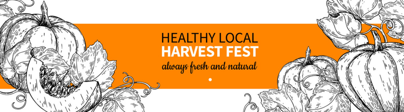 Pumpkin vector banner. Hand drawn vintage Harvest festival frame. Farm Market sketch