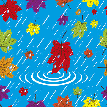Autumn maple leaf