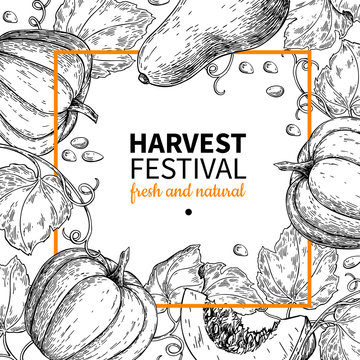 Pumpkin vector frame. Hand drawn vintage Harvest festival illustration. Farm Market sketch