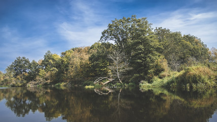 Trees on the shore of a beautiful autumn river.