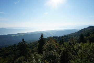Fototapeta premium view from a mountain