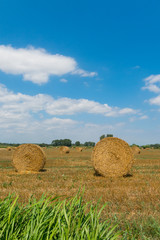 Typical landscape of the Emporda in Catalonia, Spain.