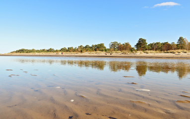 Yagry in Severodvinsk. Unique pine forest. white sea coast. sea tide