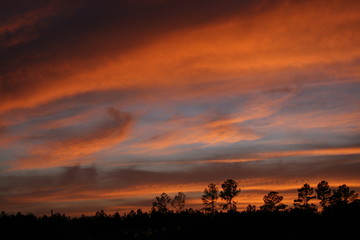 orange sunset silhouette