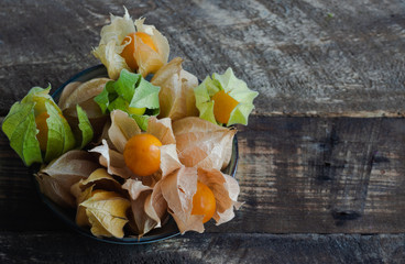 Physalis in bowl on dark wooden background. Space to write.