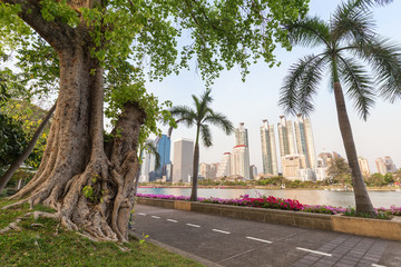 Big tree, jogging track and a lake at the Benjakiti (Benjakitti) Park and skyscrapers in Bangkok, Thailand, in the morning.