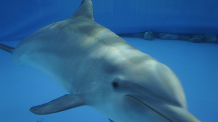 Fototapeta premium SONY DSC