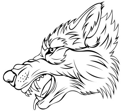 Head of Angry Wolf