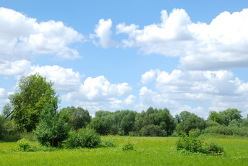 Water meadow under the sky