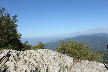 casentino